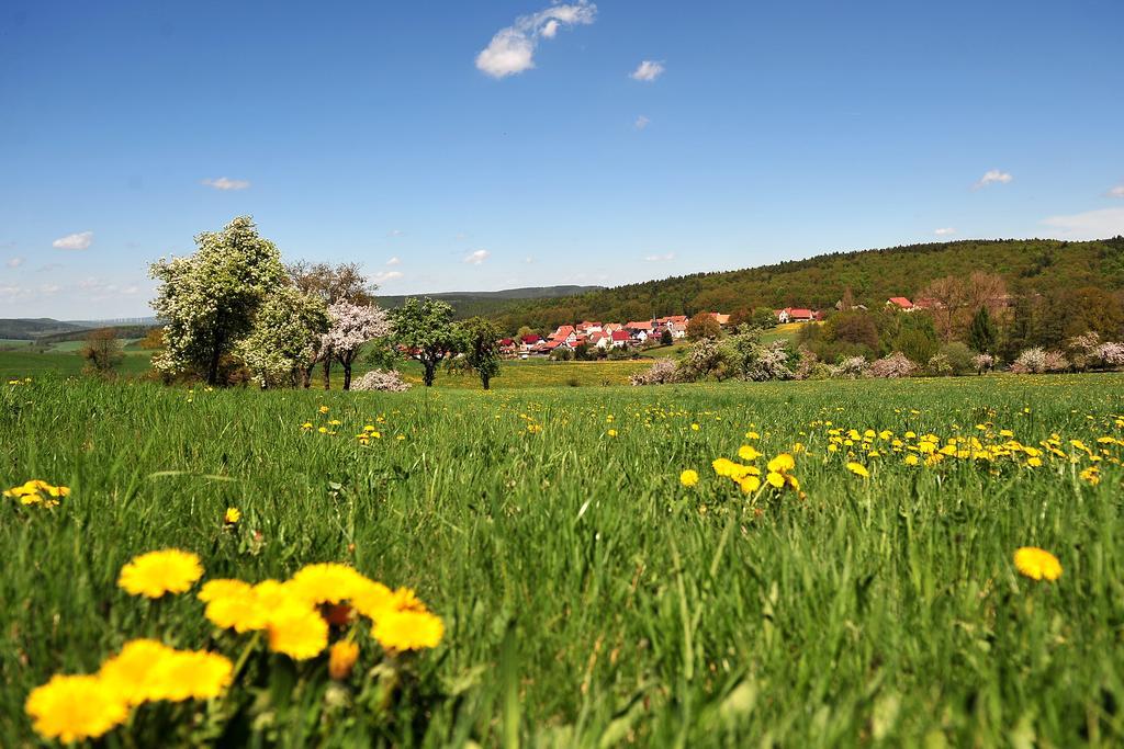 Landhotel Zur Gruenen Kutte Bernshausen ภายนอก รูปภาพ