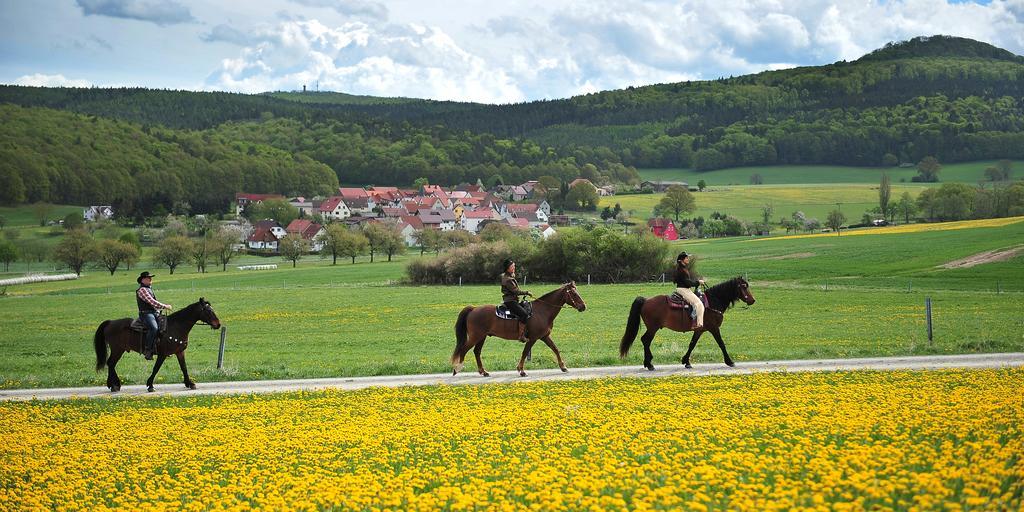 Landhotel Zur Gruenen Kutte Bernshausen ภายนอก รูปภาพ
